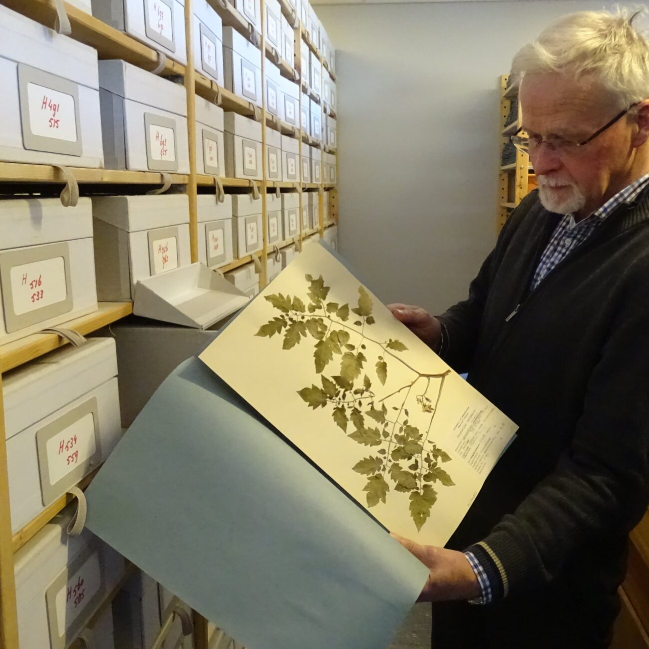 Gerard van der Weerden met herbariumvel